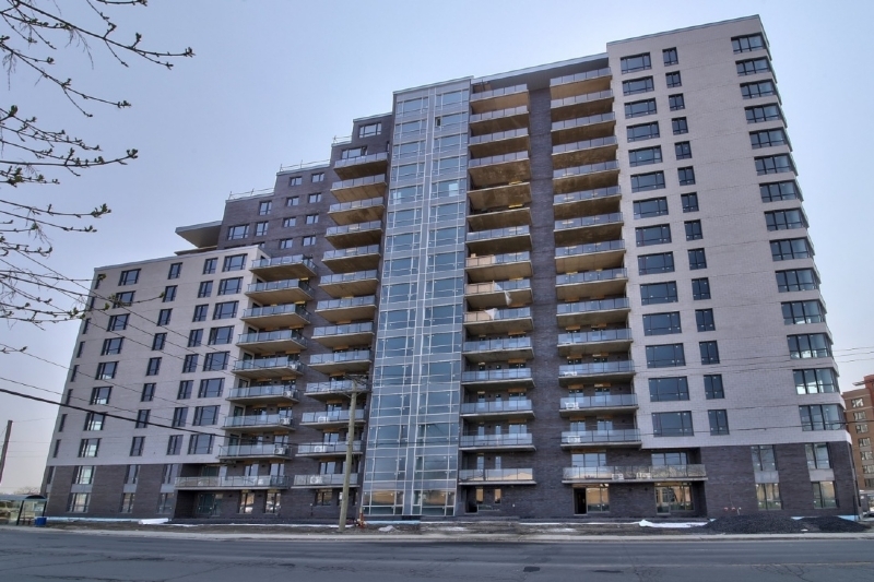 EQ8 Cité Urbaine zone 1