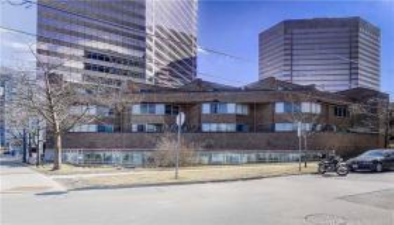 NORHERN MEWS - MTCC 788