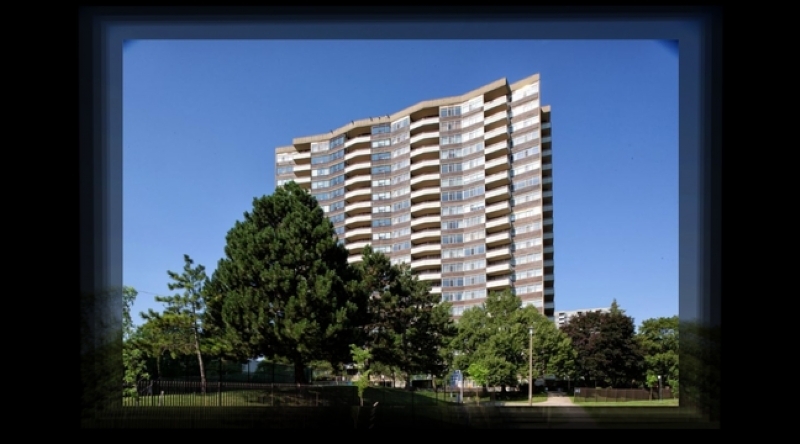 Royal Crest 3 - YCC 229