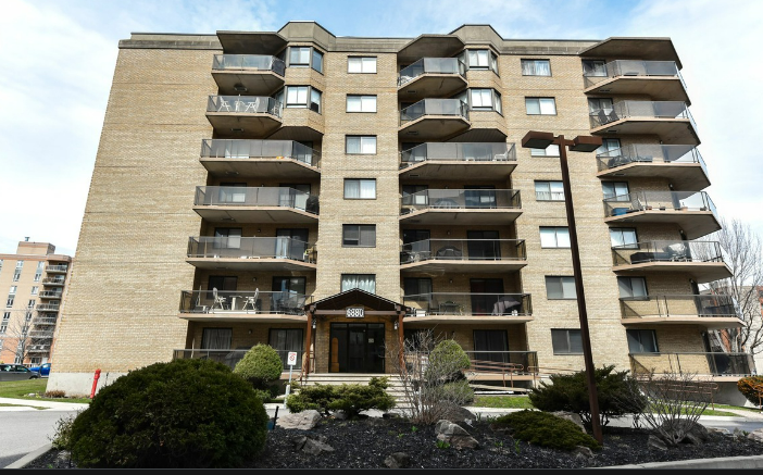 Roseraies d'Anjou phase 3